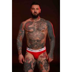 TWISTED BEAST - Insignia Brief - Front