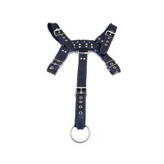 Leather Full Body Harness - Black/Blue