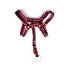Leather Full Body Harness - Black/Red