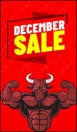 DECEMBER SALE